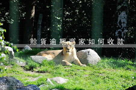 賒貨逾期：商家如何收款？